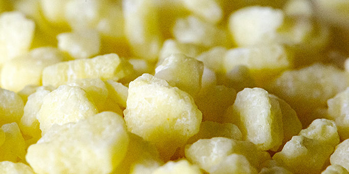 Fertilisation azotée du maïs : augmentation du rendement et de la production