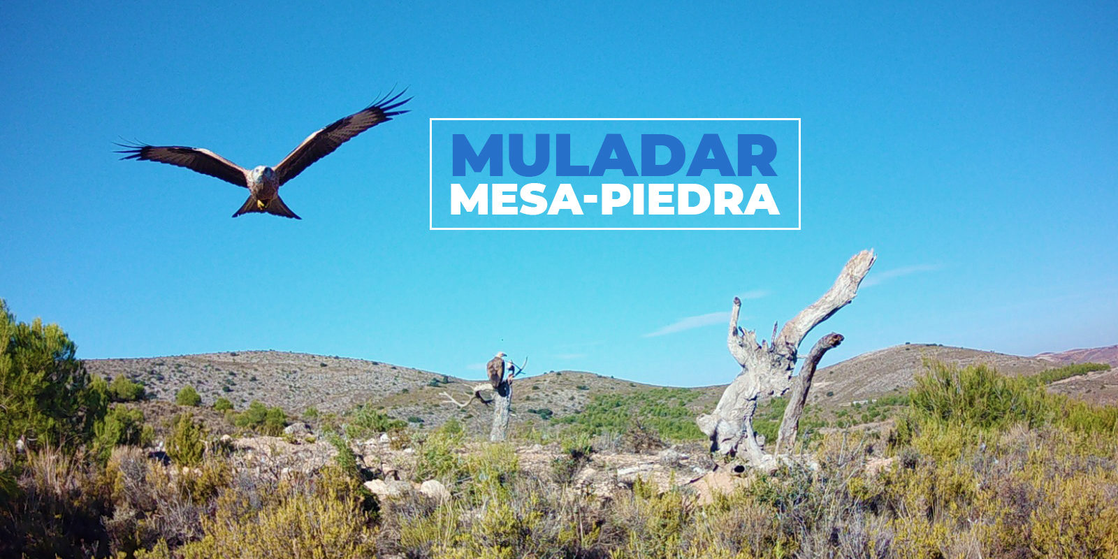 UN AÑO DE LA INAUGURACIÓN DEL MULADAR “MESA-PIEDRA”