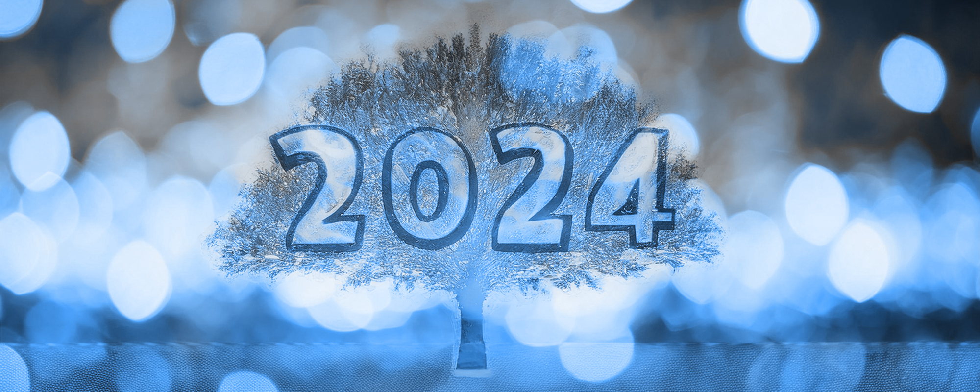 2024: A Year of Success and New Challenges for DFGRUPO