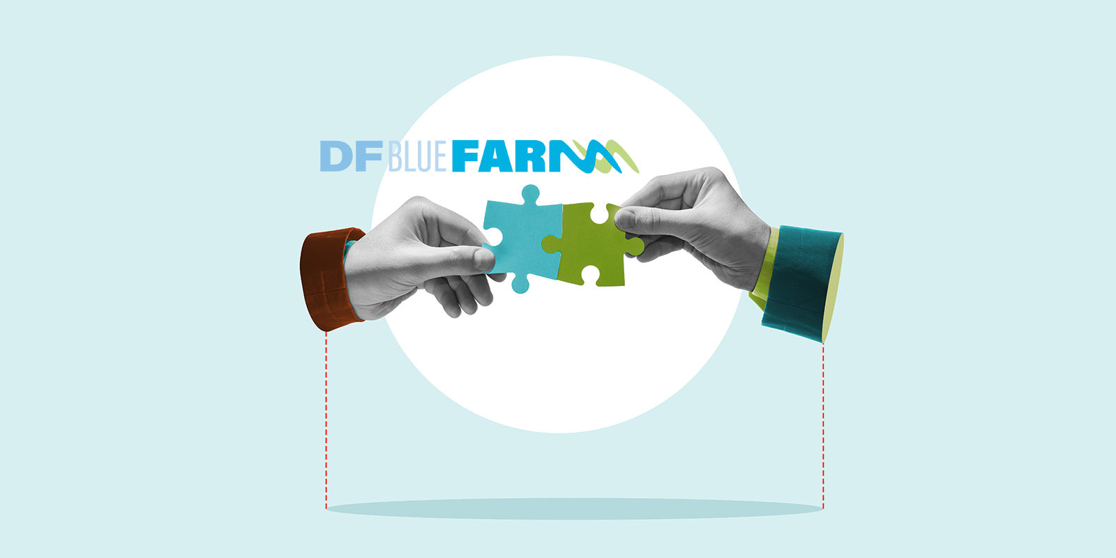 EL ÁREA DE GANADERÍA DE DFBLUEAGRO E INNOFARM, SE UNEN