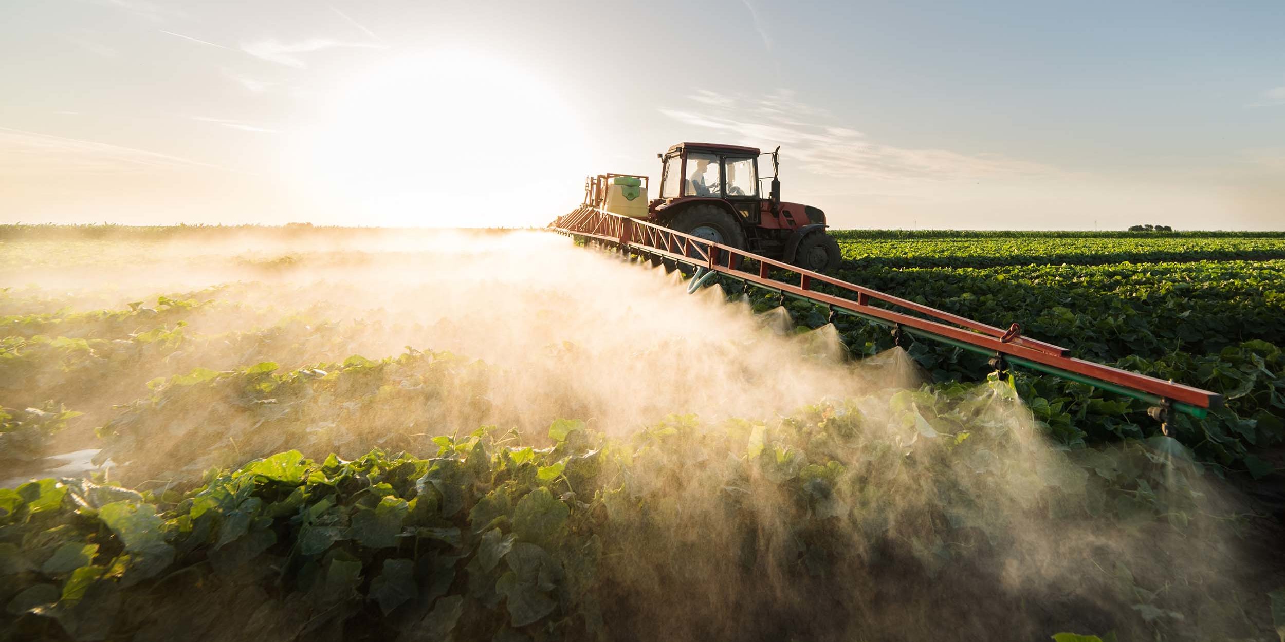 Phosphorus in Agriculture: Importance, Benefits and Fertiliser Choice