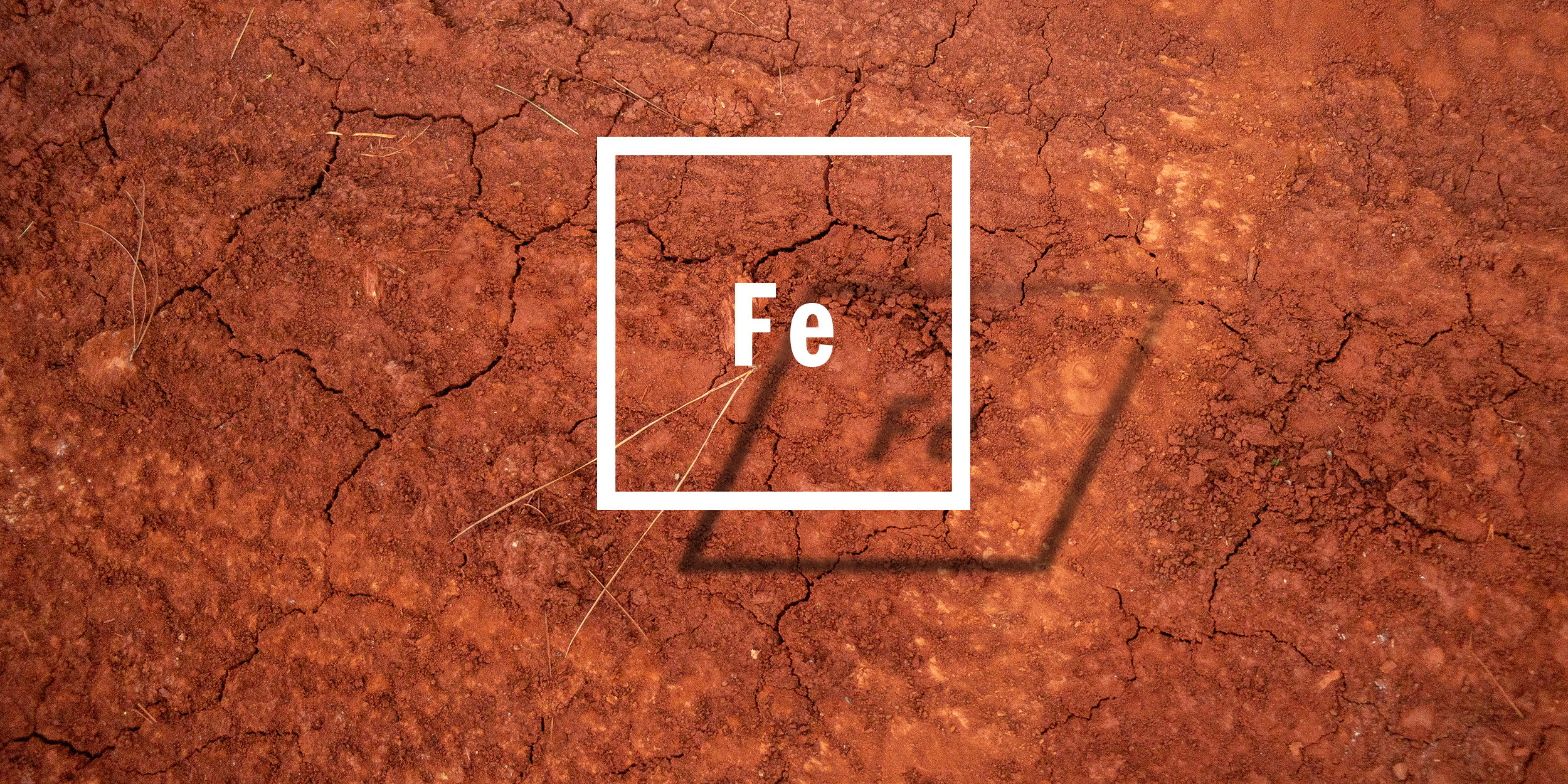 Iron in Agriculture: Functions, Deficiency, and Toxicity in Crops