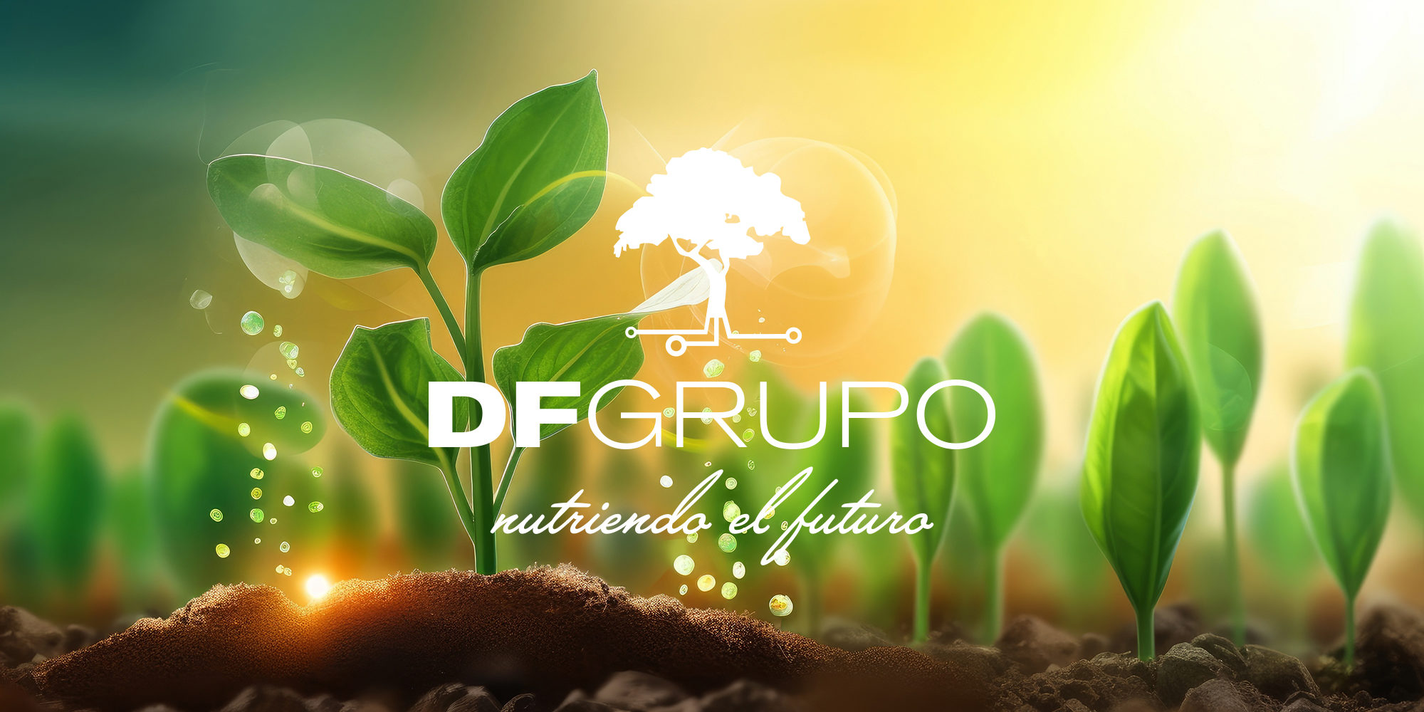 Nitrogen/Sulfur (N/S) Balance in Fertilization: Key to Optimal Plant Growth