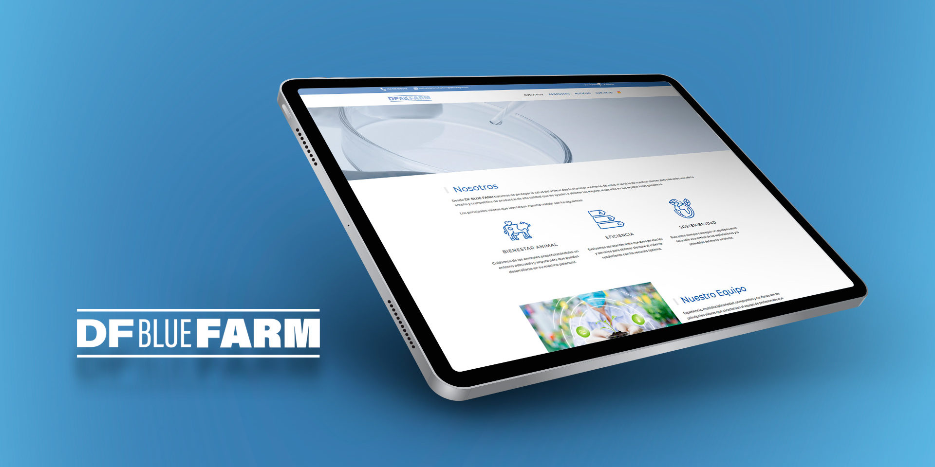 NUEVA WEB PARA DF BLUE FARM