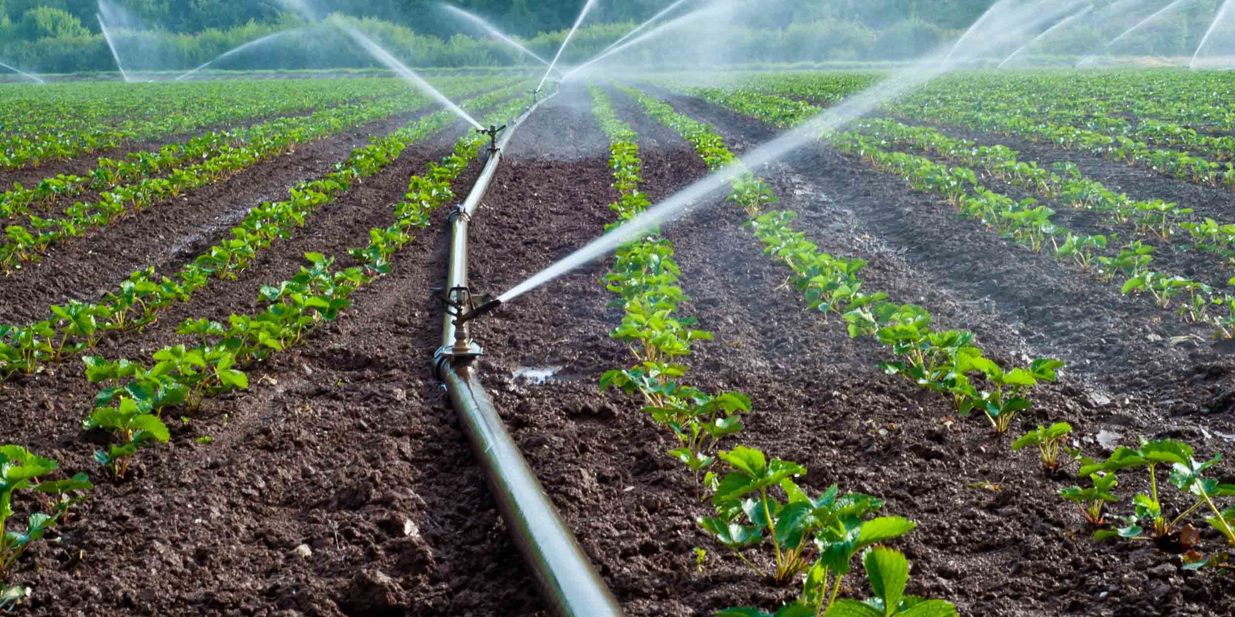 Tecnología para Ahorrar Agua en la Agricultura: Escucha Agroprecisión