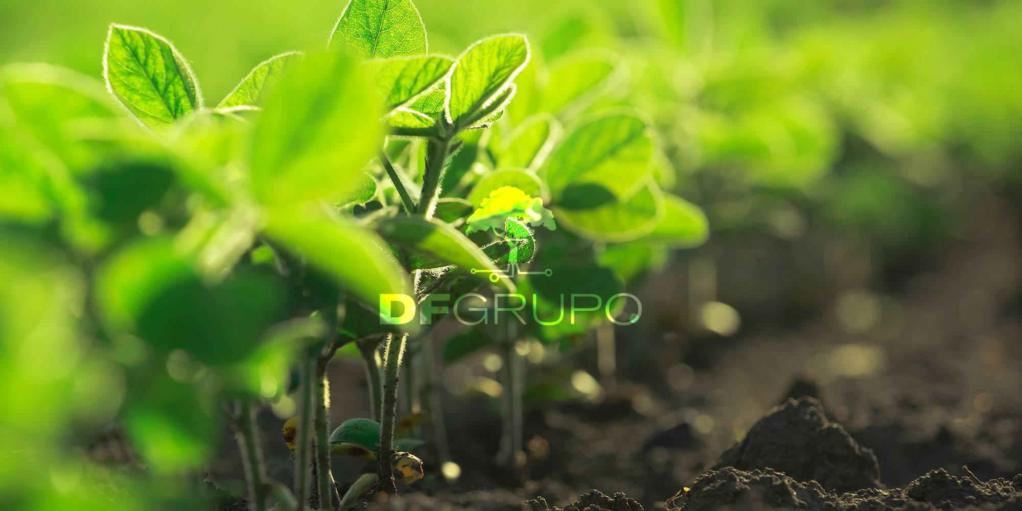European Commission's Blueprint for a Sustainable and Healthy Food System.