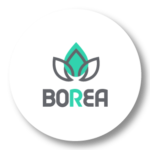 Borea
