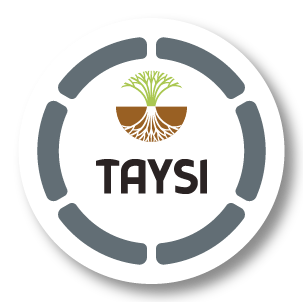 TAYSI