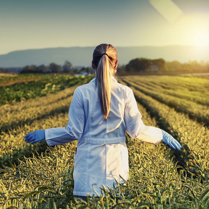 Soluciones agrícolas