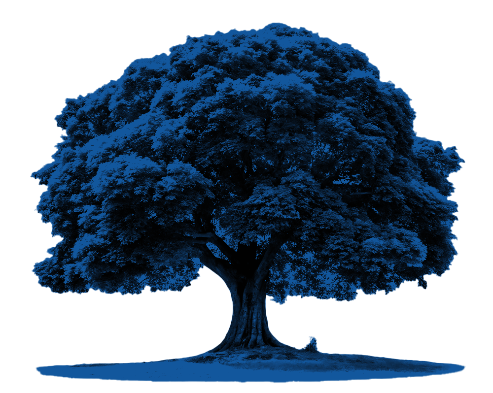 DFGRUPO tree