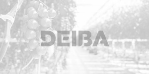 ADUBOS DEIBA