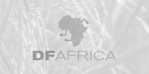 DFAFRICA