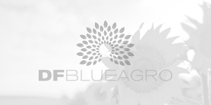 DFBLUEAGRO